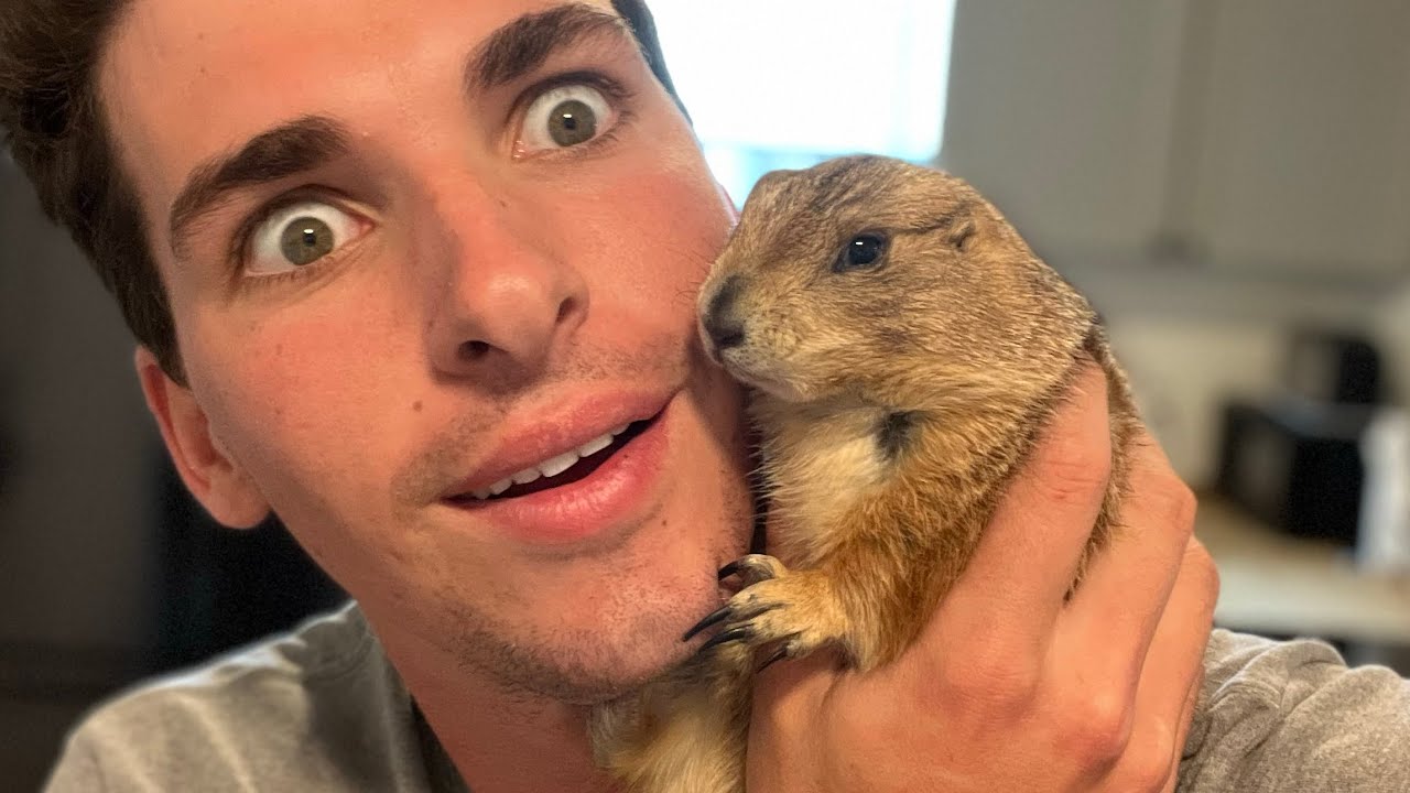 How to Catch and Cook Prairie Dog (Speedrun 100% 0 Deaths!!!)