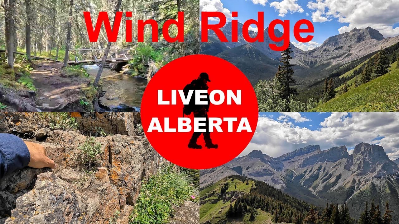 СЕКРЕТНОЕ место съёмок Pink Floyd, поход по Винд-Ридж #canadianrockies