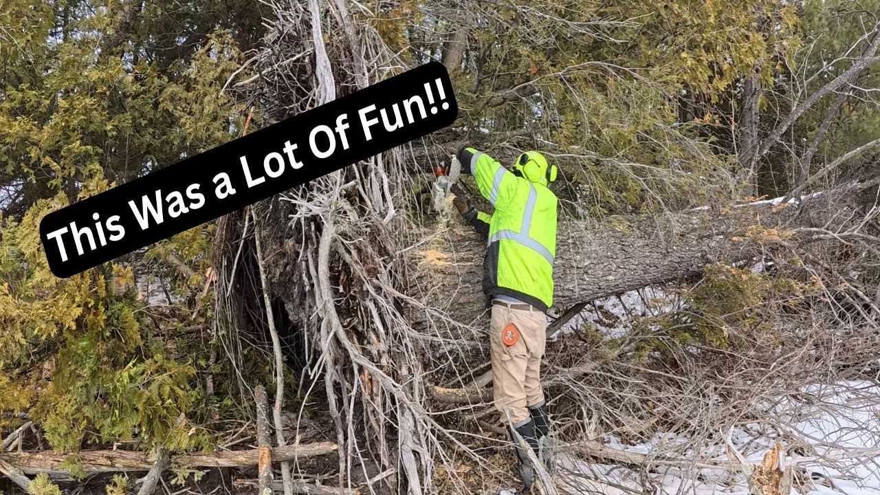 Tackling Some DANGEROUS Island Trees!!