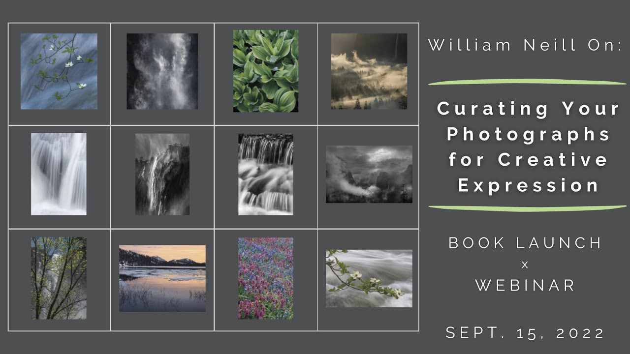 Curating Your Photographs for Creative Expression, a Book Launch & Webinar