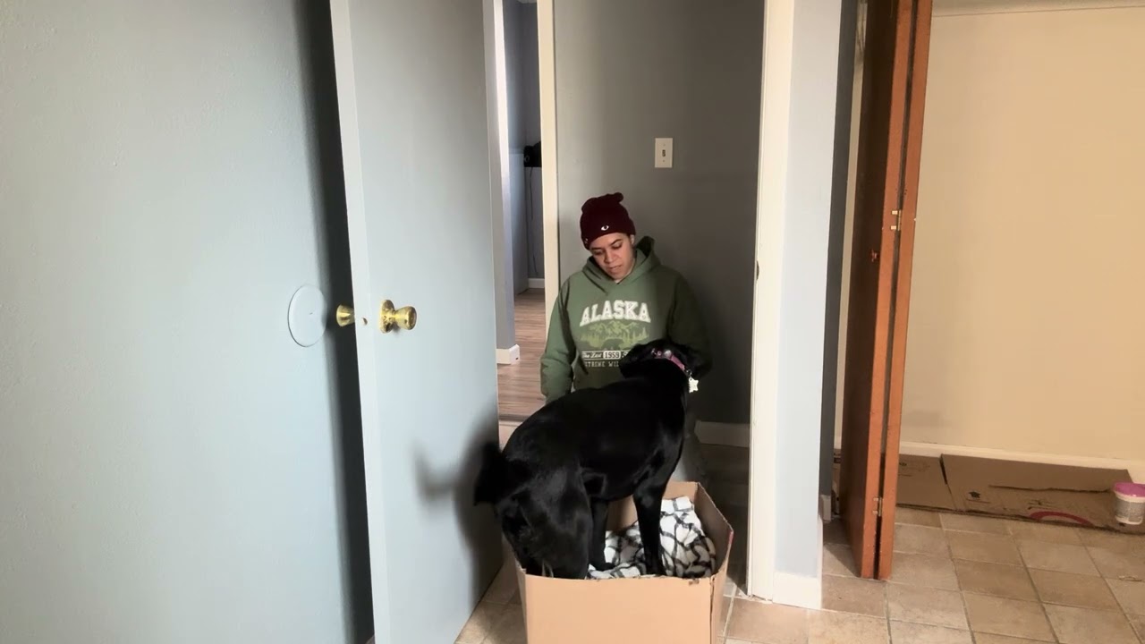 4.2 get in a box, lie down 