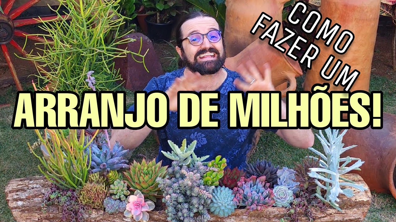 ARRANJO DE SUCULENTAS NO COCHO DE MADEIRA - Tenha um jardim de milhões