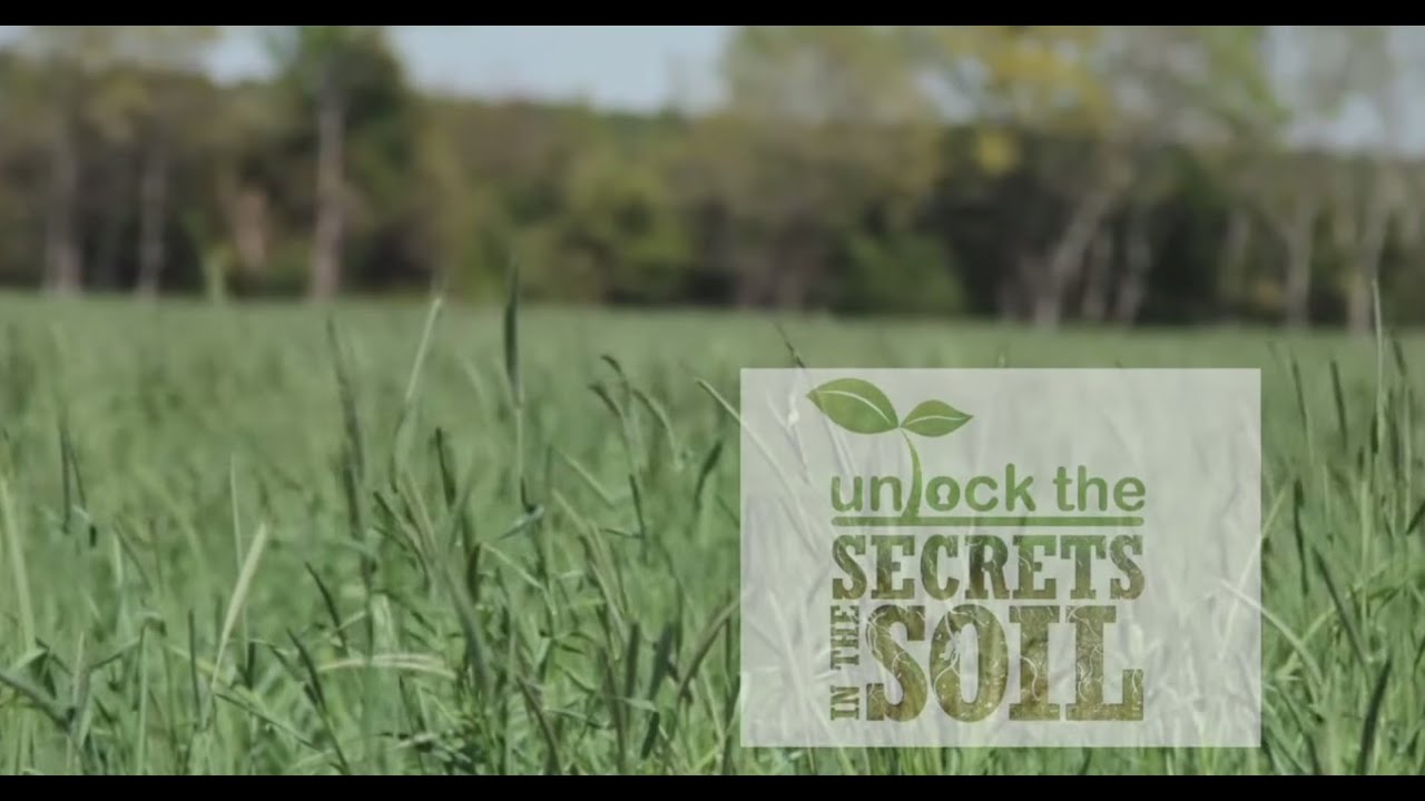 The Science of Soil Health: Mimicking Nature in the Lab