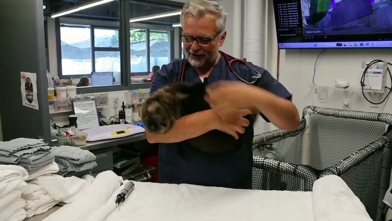 Pupdate Luna: Health Check Dr Marty