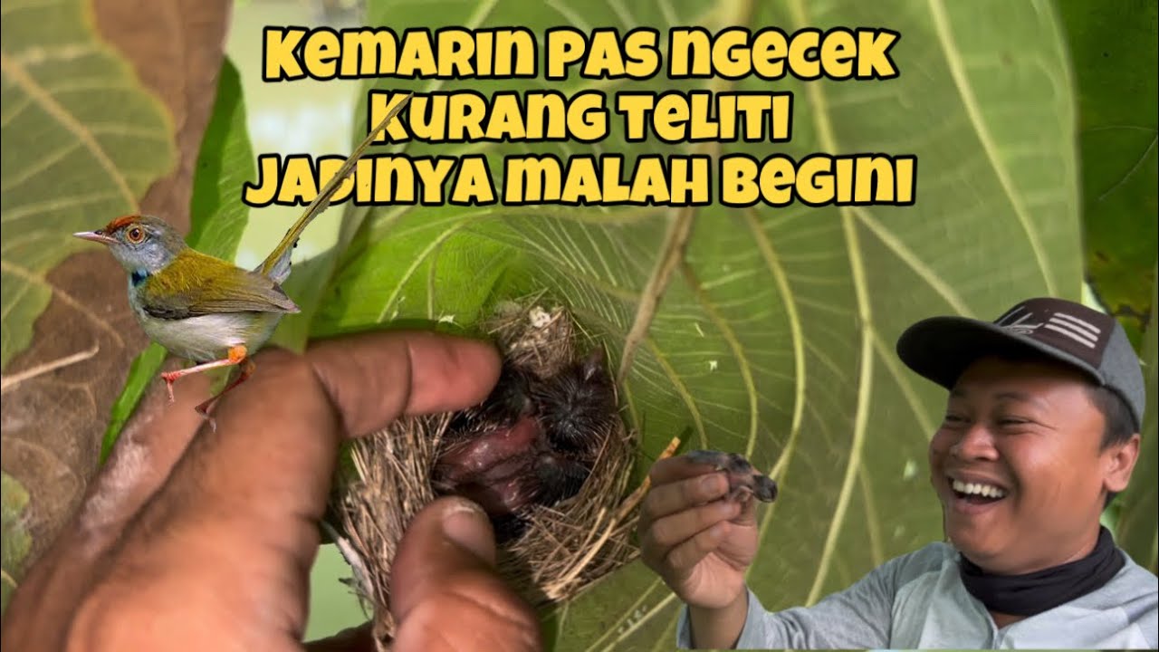Udah mau bahagia eh… malah jadi kaget tak percaya 🤣