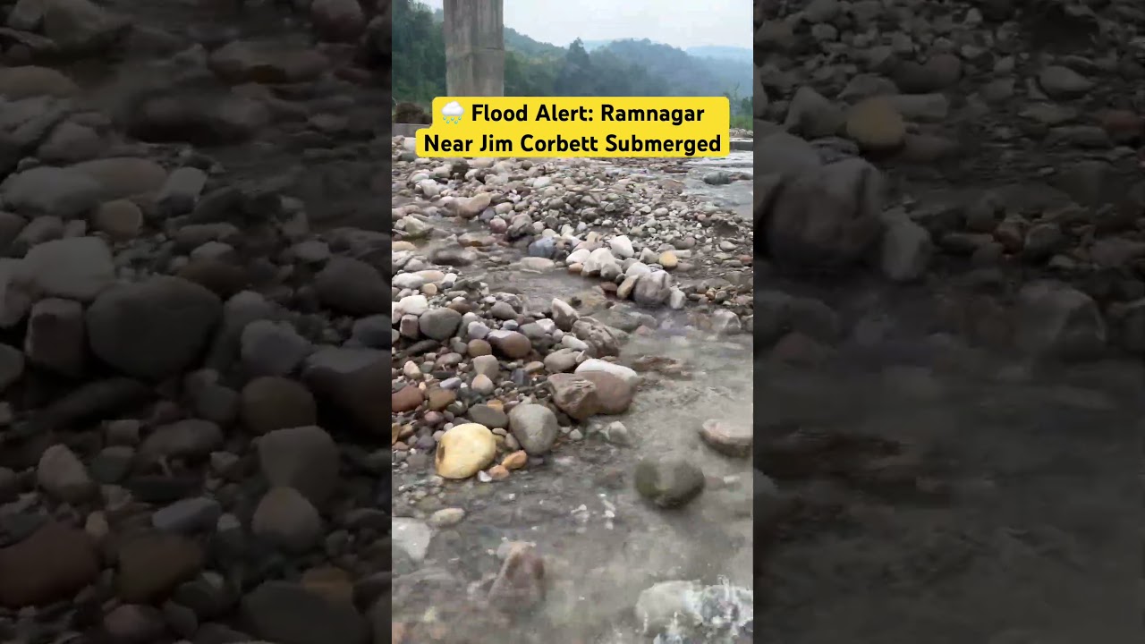 🌊 Flood in Ramnagar | Jim Corbett Under Water!   #travel