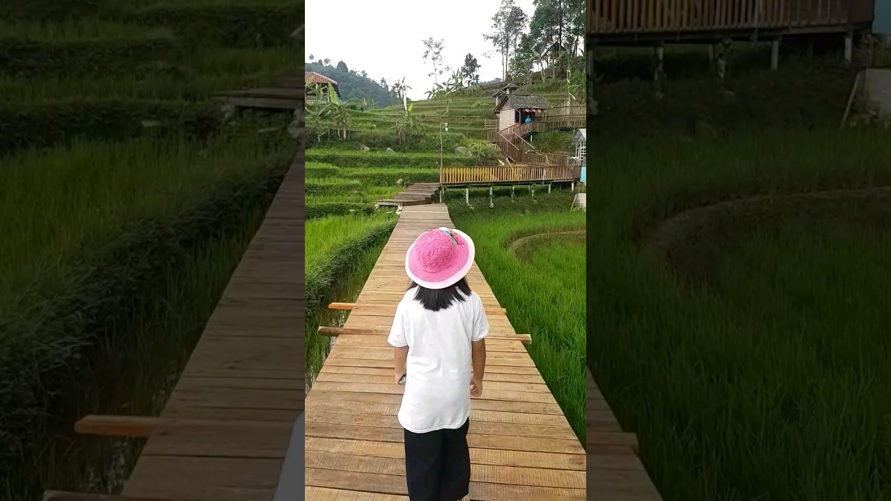 Terasering Cisalada  #eksplorebogor #wisata #cisalada #indonesia