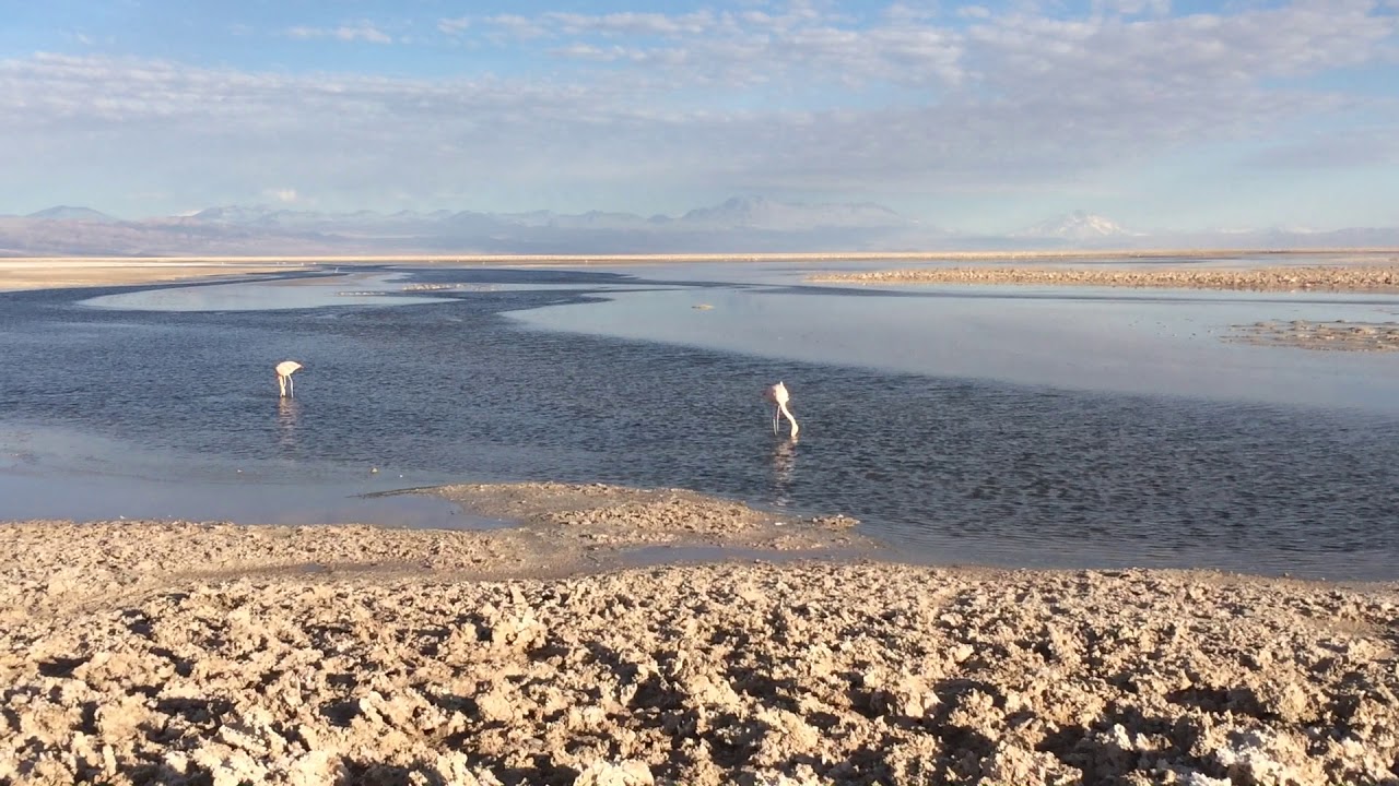 Los Flamencos National Reserve near San Pedro De Atacama, Chile