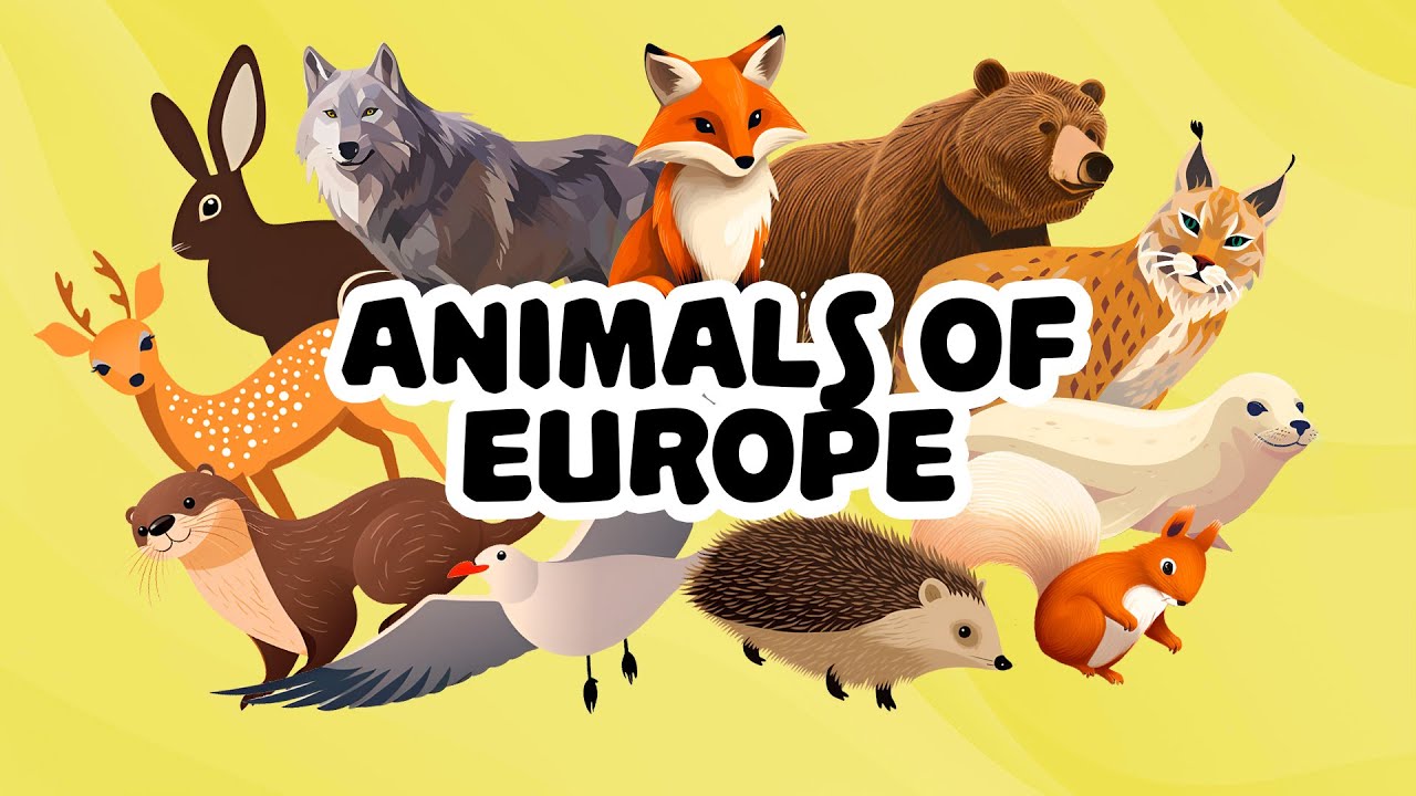 ANIMALS OF EUROPE | Around The World With Mia & Benny