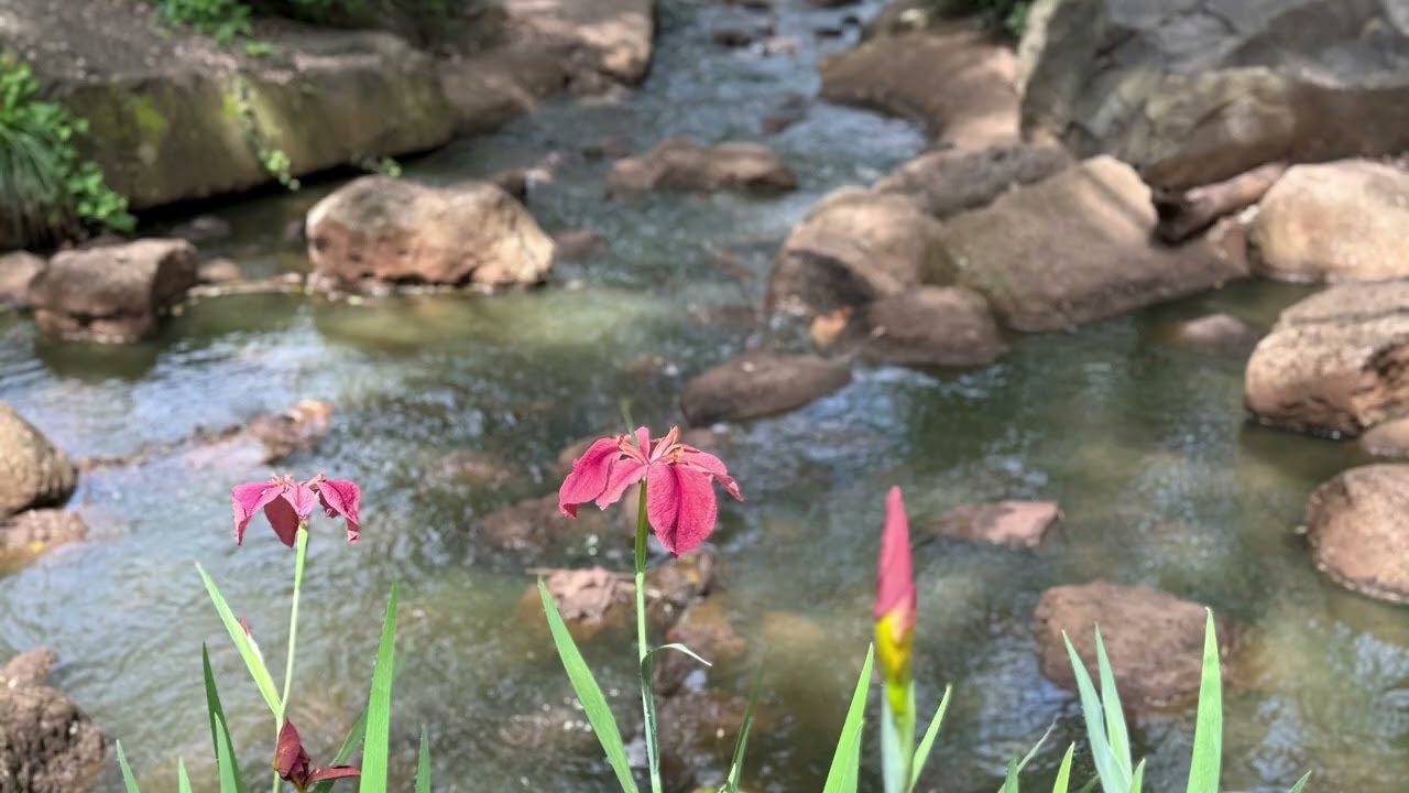 Making Room: A Gentle Meditation for Letting Go