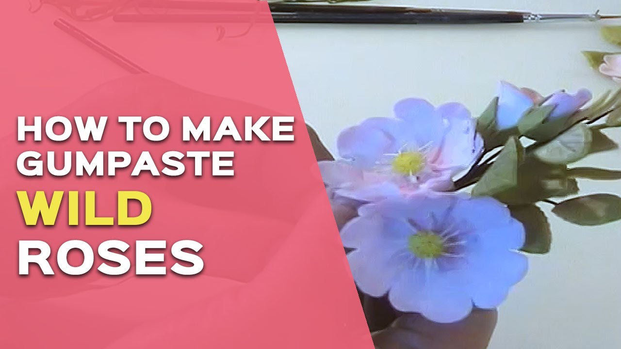 How to Make a Gumpaste Wild Rose Tutorial - (Full Step-by-Step Project Anyone Can Follow!) Video 2