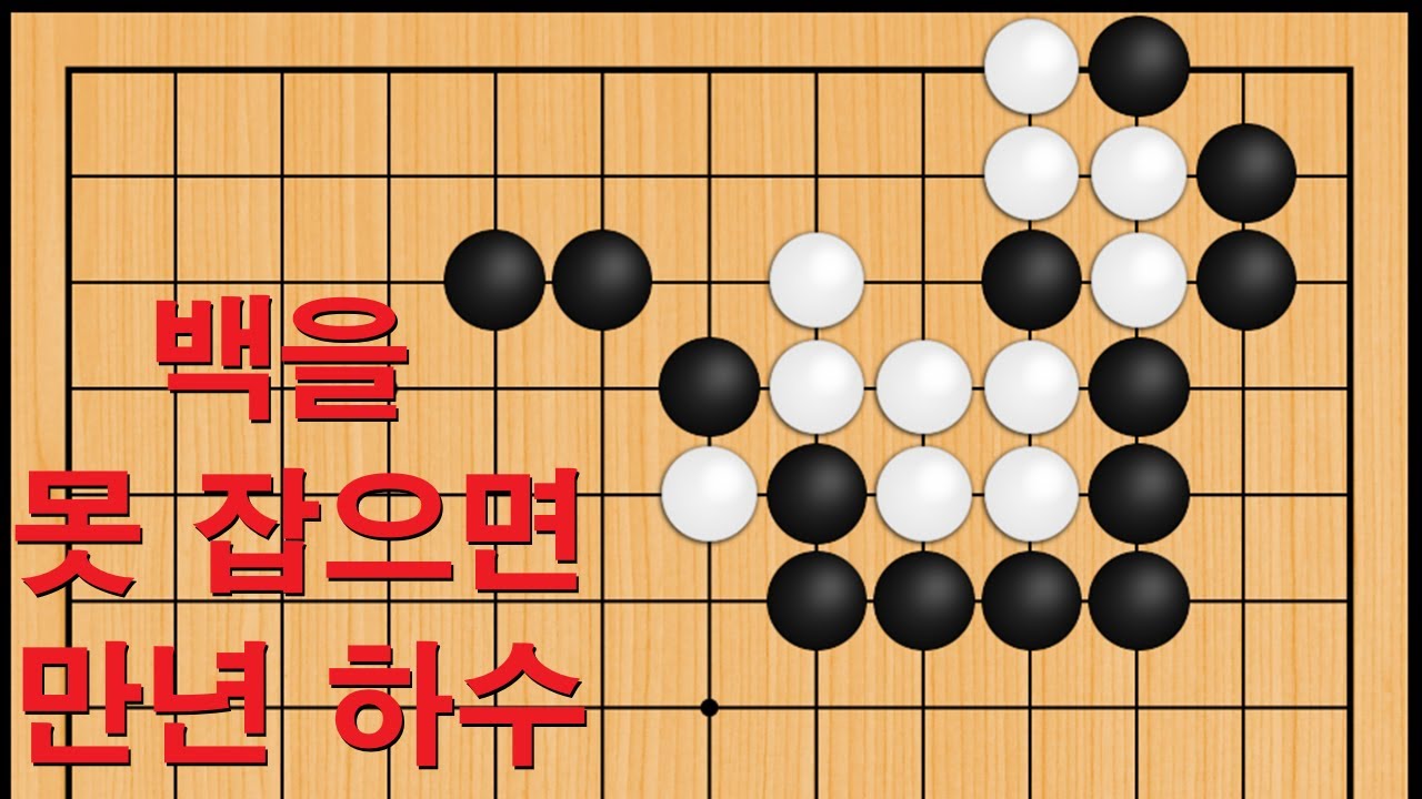 바둑 묘수 사활 - 백을 못 잡으면 만년 하수 입니다