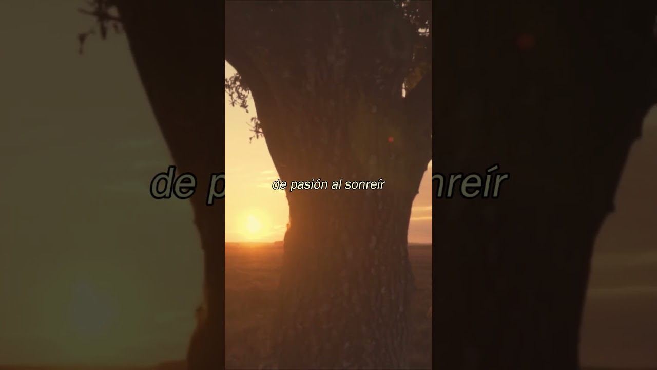 Usted me va a perdonar, ya está disponible 