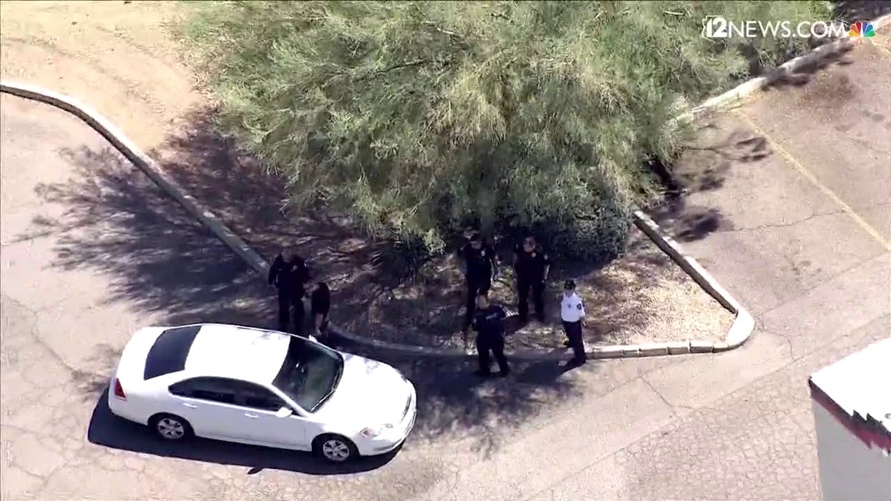 Surprise police officer bitten by DUI suspect, PD says
