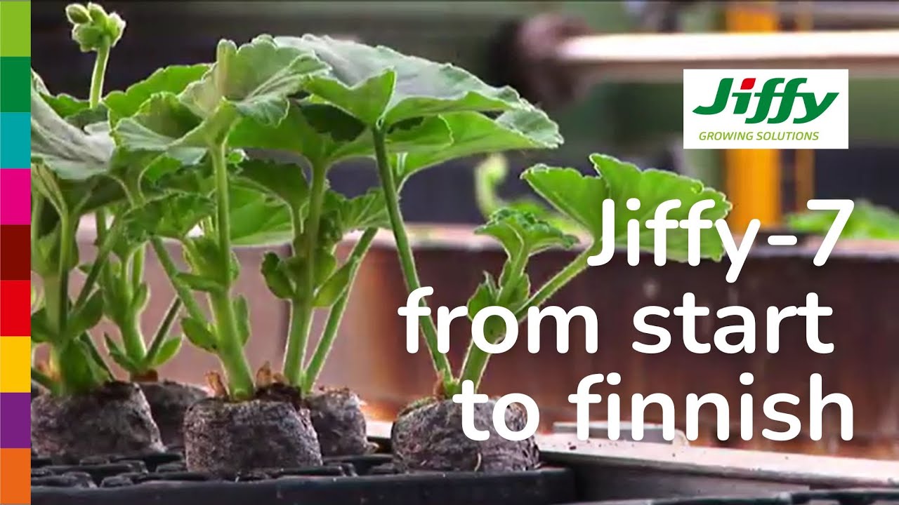 Jiffy-7 Automation proces