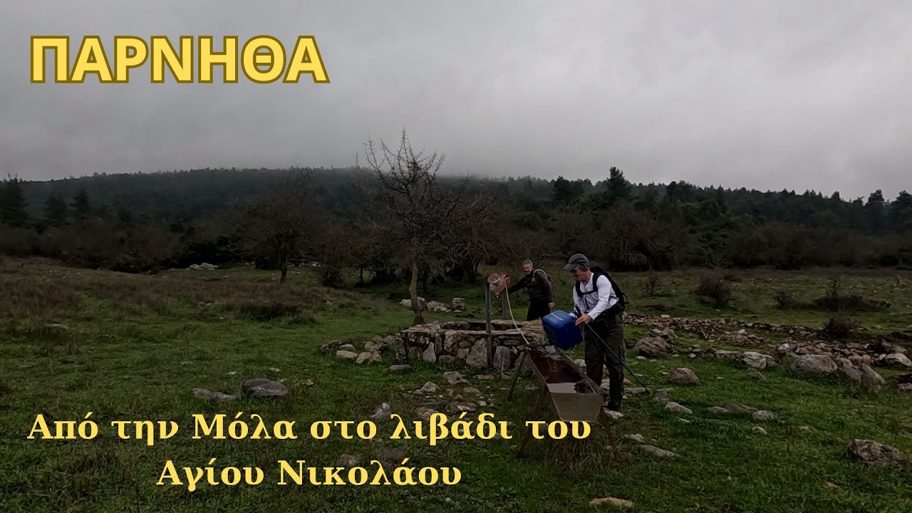 ΠΑΡΝΗΘΑ: Μόλα - Πύρεζα-Αγίος Νικολάος  Αυλώνα