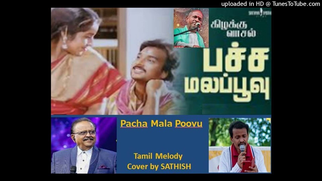 Pacha Mala Poovu, SPB, Ilaiyaraja, RV Udayakumar. Cover Sathish - Japan.