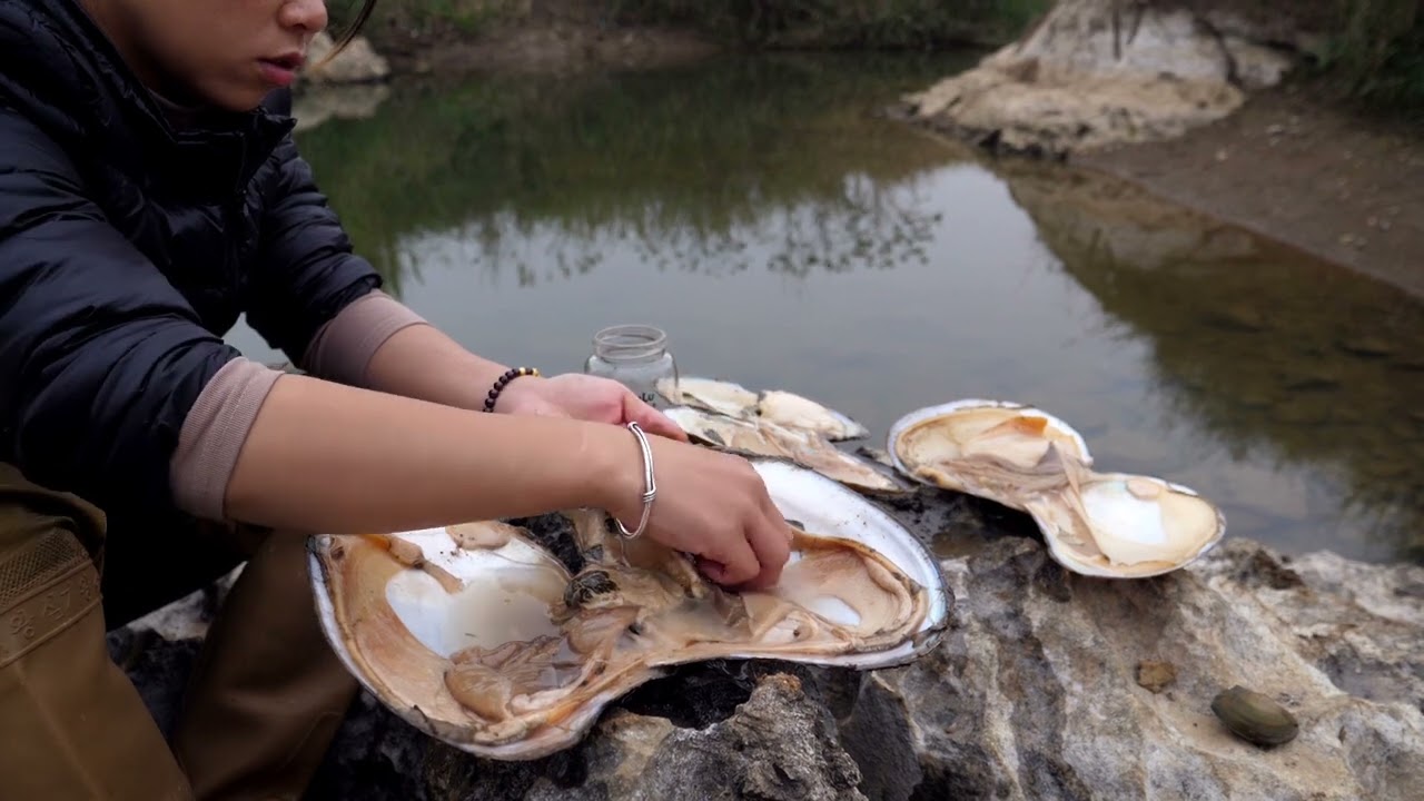Pearls collected from giant river mussels are unique, rare in color and shape