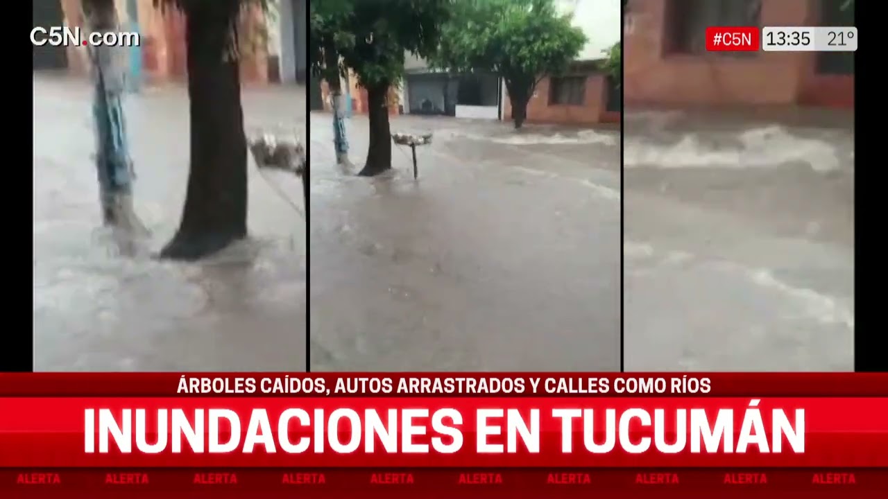 INUNDACIONES EN TUCUMÁN: ÁRBOLES CAÍDOS, AUTOS ARRASTRADOS Y CALLES ANEGADAS