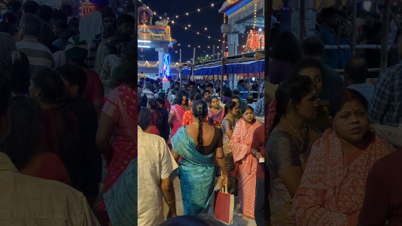 Mylapore temple crowd 2026 mahashivratri #travel #indianexplorers #nature #music #love #temple #song