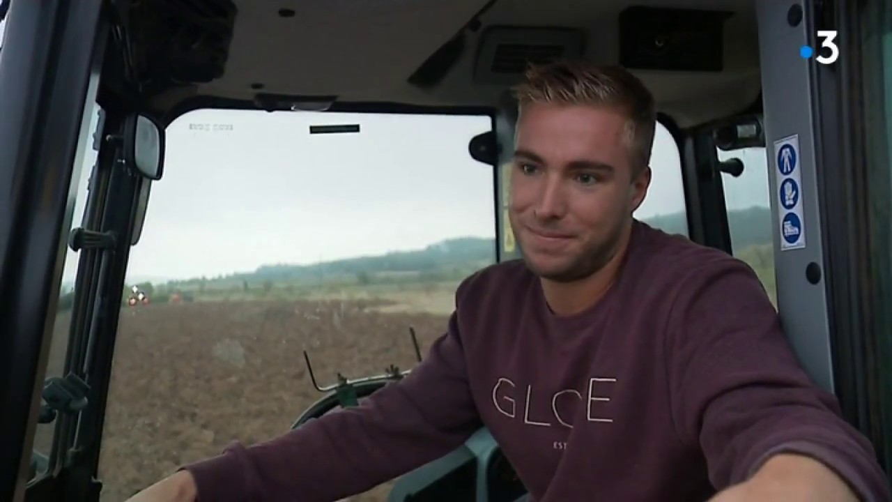 Luc-sur-Orbieu (11) : on vendange les raisins pour produire le rosé