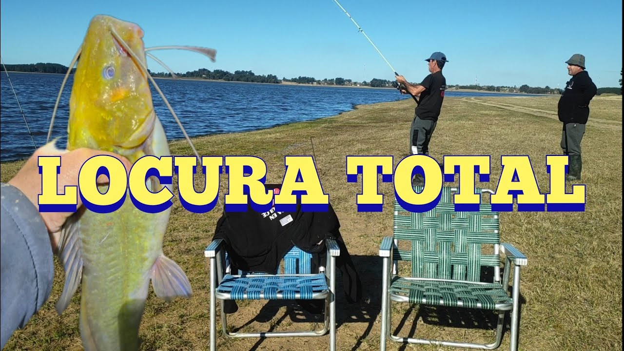 Increíble pesca en San Gregorio: tarariras, pejerreyes y un festival de bagres.