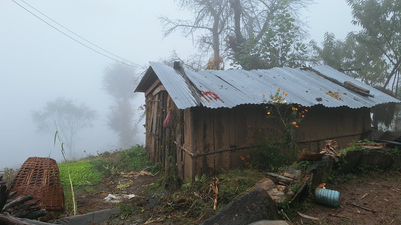 Best Life in The Nepali Himalayan Village During The Winter । Organic Village Food cooking in Rain