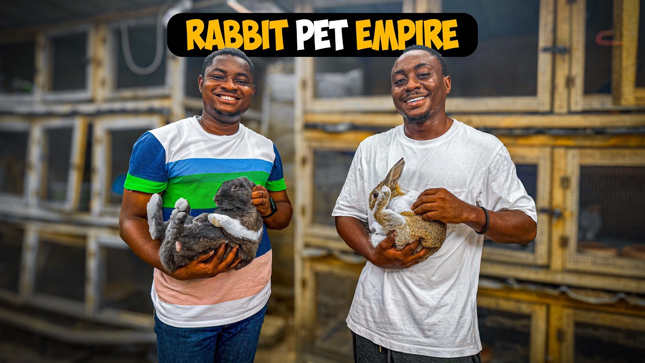 My BOREDOM BREAKTHROUGH - How RABBIT FARMING Changed My LIFE!