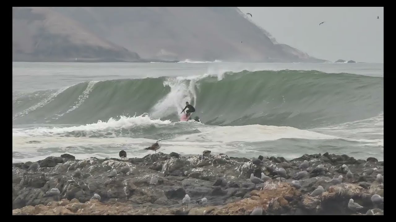 Surf en Arica: La Lisera, un spot tan hermoso como peligroso