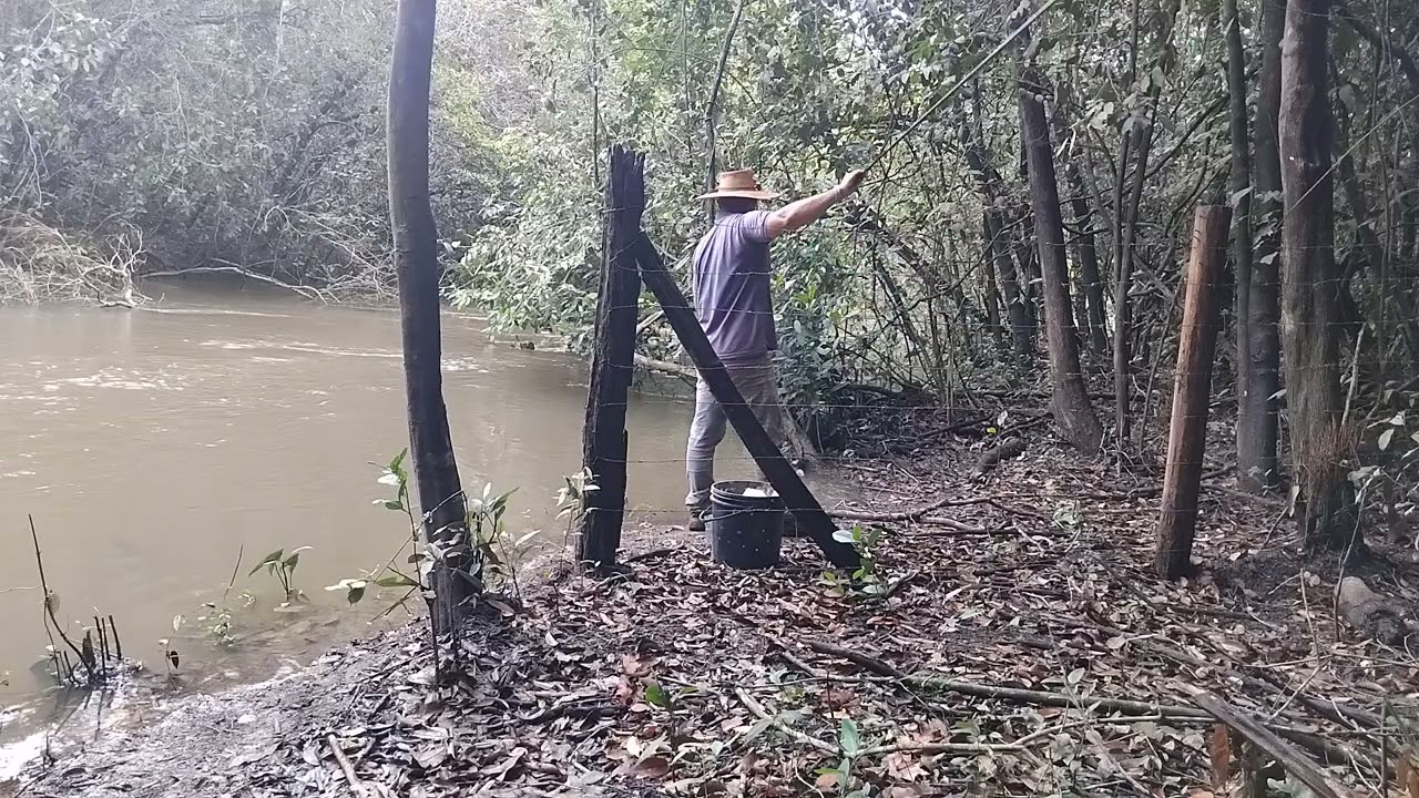 Pescando lambari