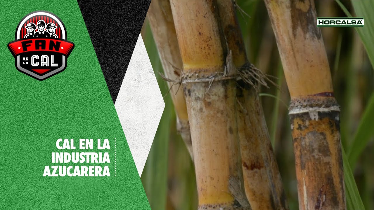 Cal en la industria azucarera actualizado