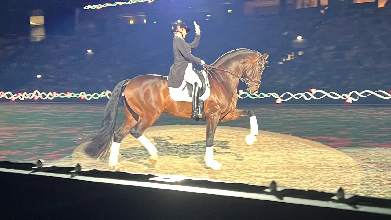 HAUL FRA HEST OG RYTTER!!!!😻