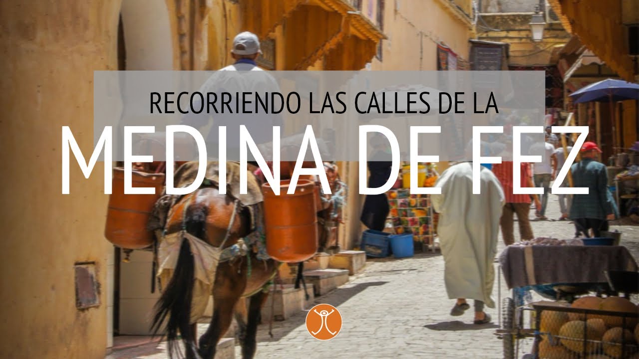 Recorriendo la MEDINA DE FEZ a fondo por sus calles 🐾 🐱