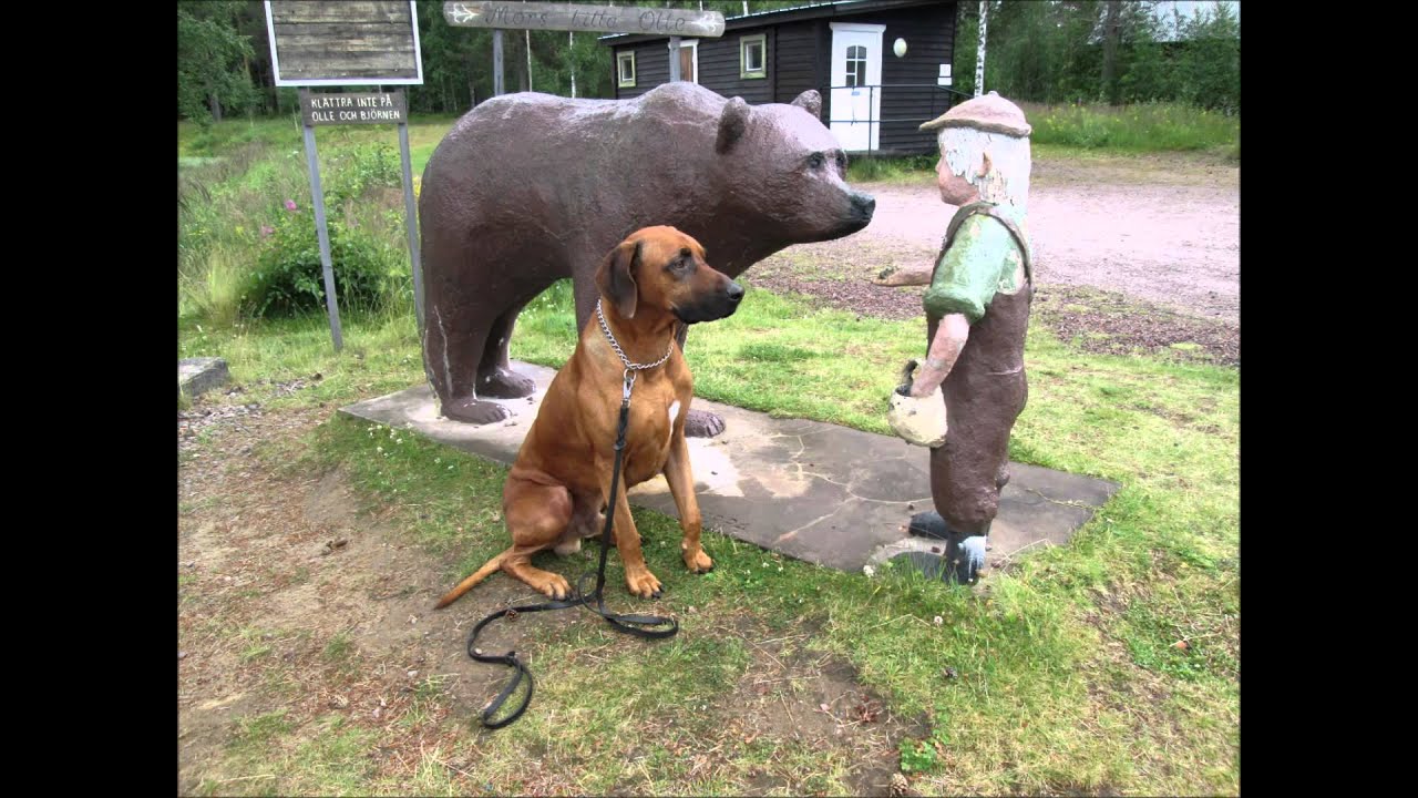 Husbilsresa lite H&auml;r och d&auml;r 2015