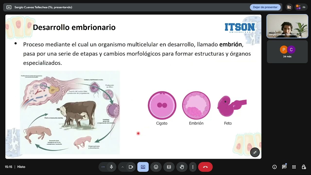 Fundamentos del Desarrollo Embrionario