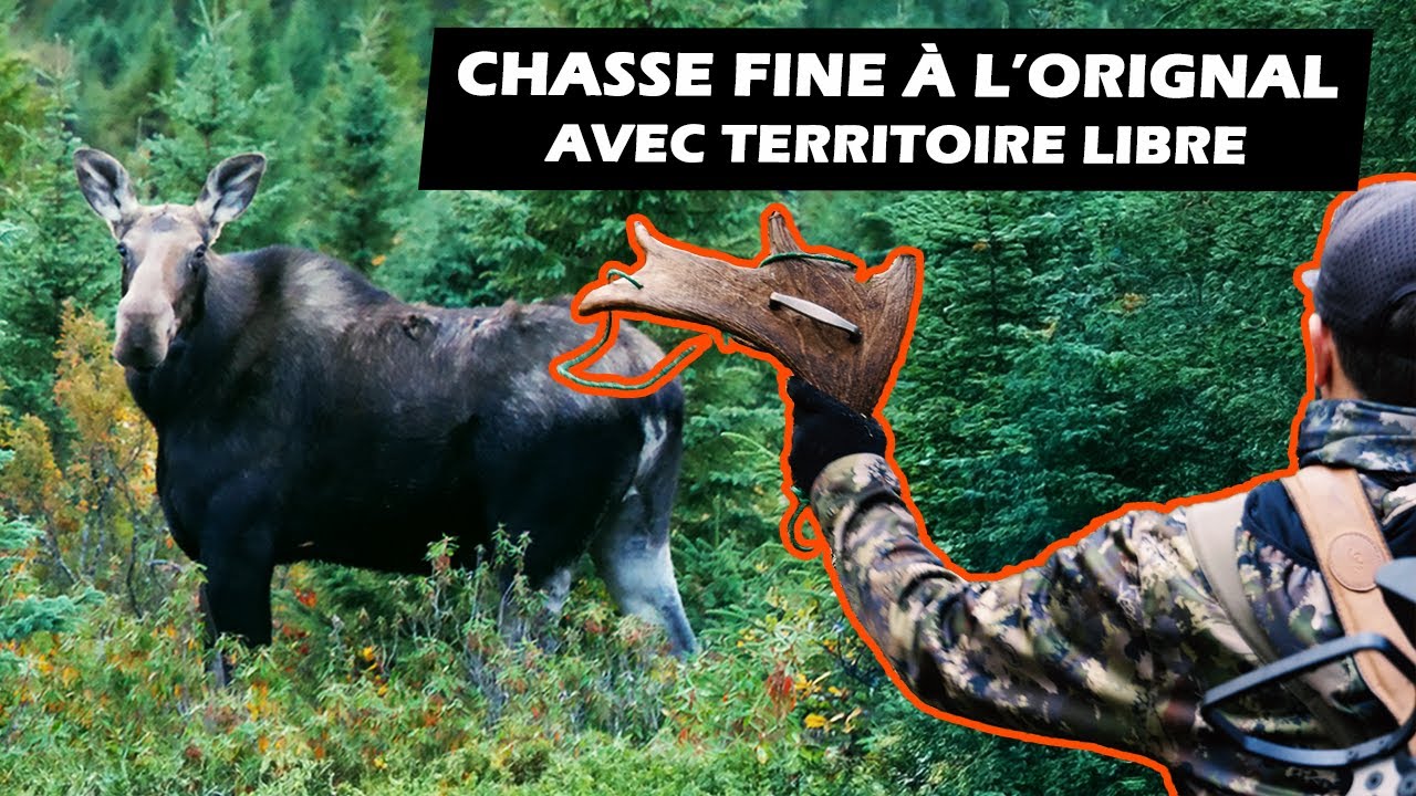 Chasse fine à l'orignal avec TERRITOIRE LIBRE - Saison 6 Épisode final | ROADHUNT.TV - Épisode 10