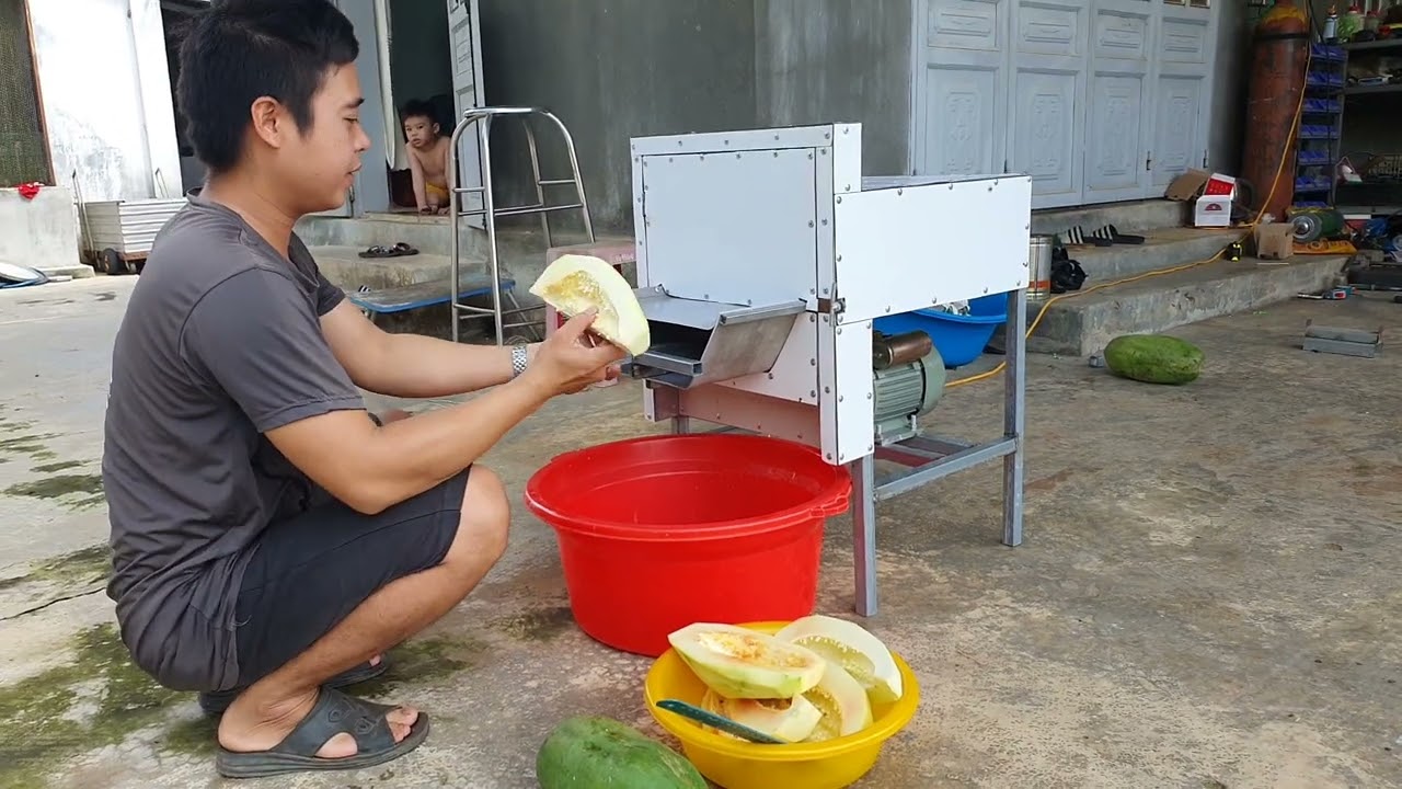 Chế Máy Bào Sợi Đu Đủ, Rau, Củ Quả