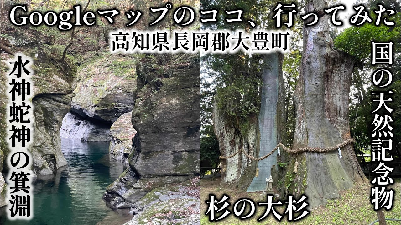 【高知県大豊町】箕淵と杉の大杉【Googleのココ、行ってみた】