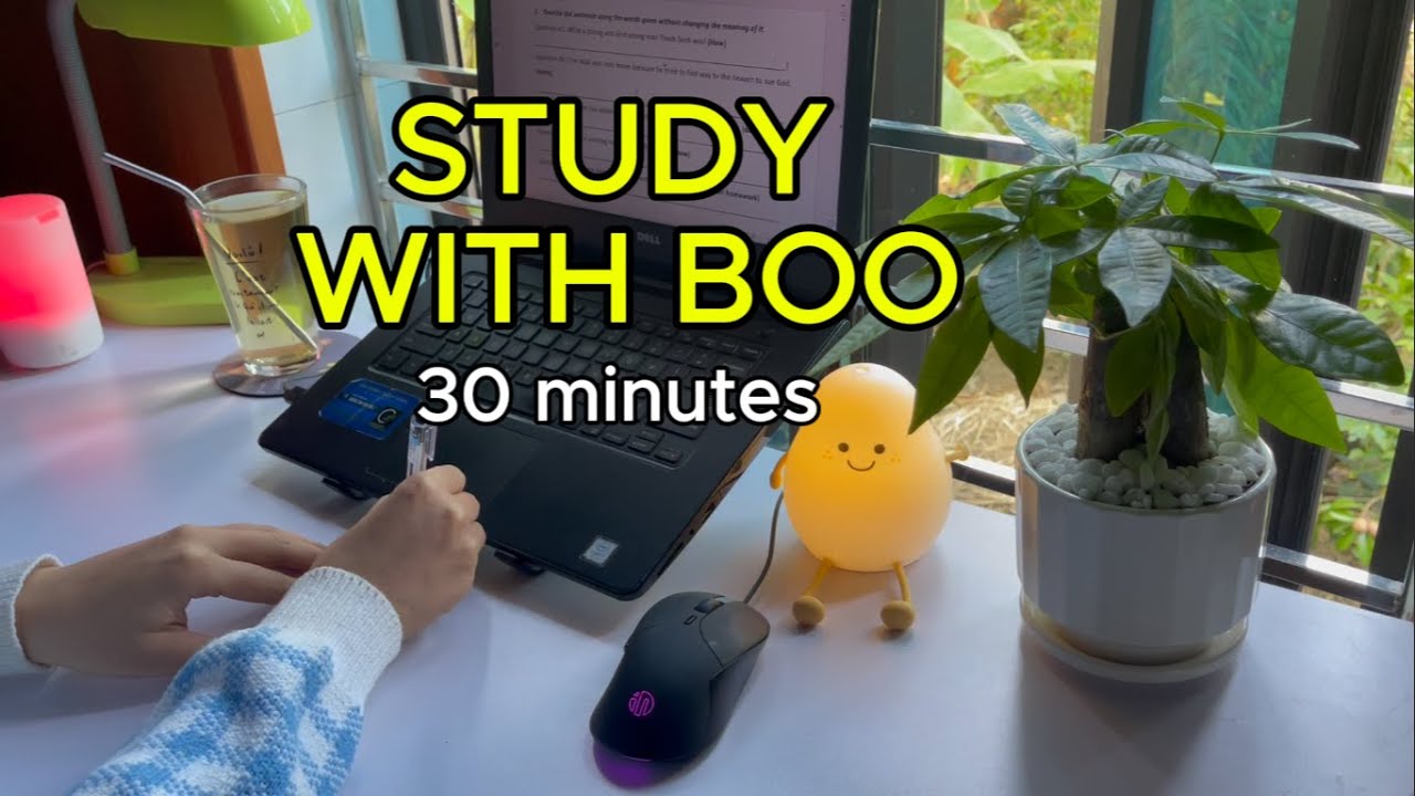 #115: QUICK 30 MINUTES STUDY WITH ME 🍵 | Sunny Day | Real Time | Deep Focus