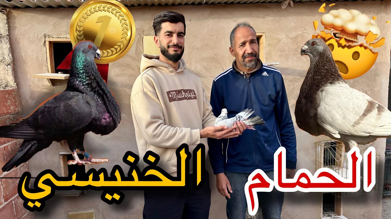 زيارة عند بطل مربي الحمام الخنيسي ف Oujda 😍🏅