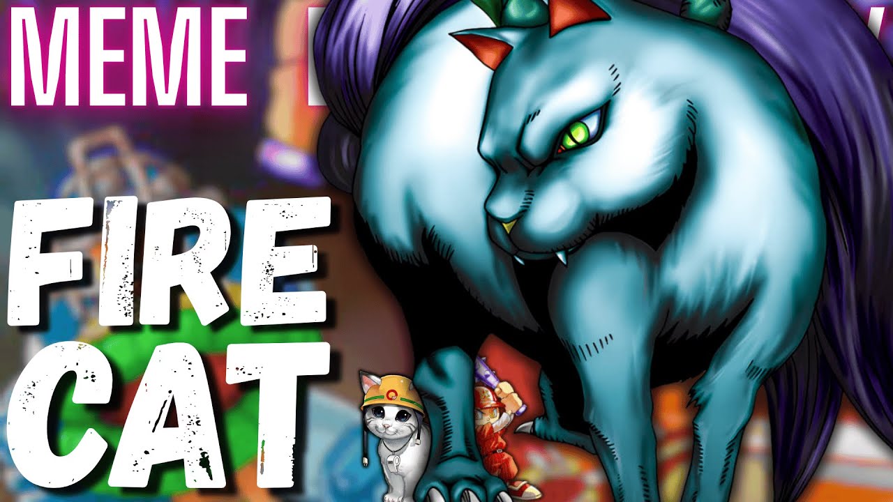 This Cat Is On Fire! | Fire Rescue Cat OTK | Goat Format Yugioh