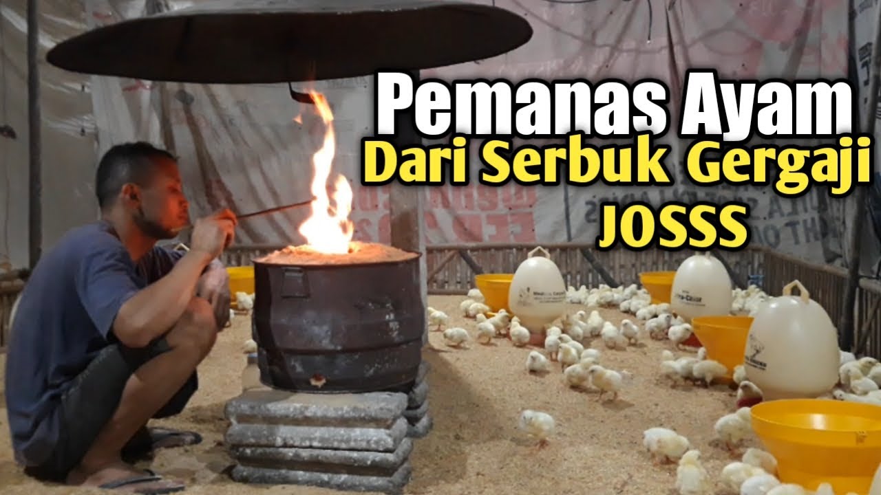 🔴 CARA MENYULUT PEMANAS AYAM DARI BAHAN SERBUK GERGAJI || TUTORIAL EDITION