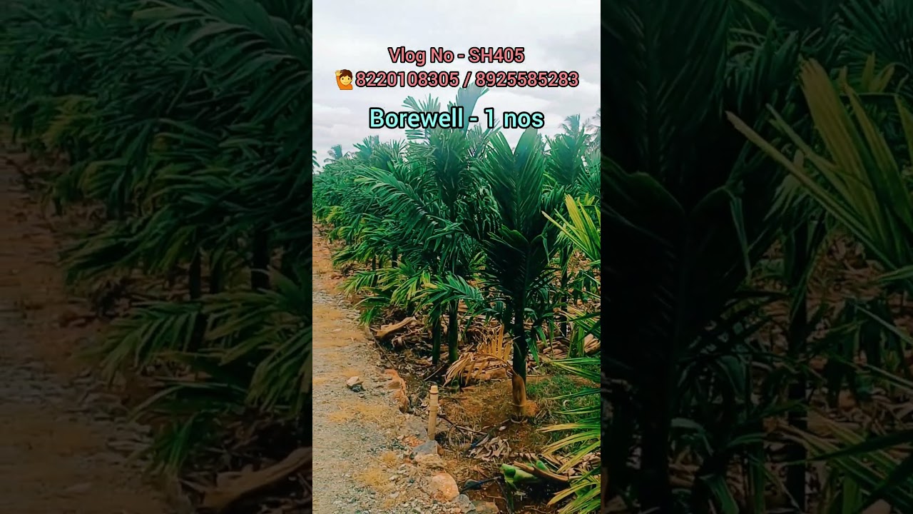 SH405 - 3.15 Acre Agri Land/Near Sathyamangalam/8220108305/8925585283