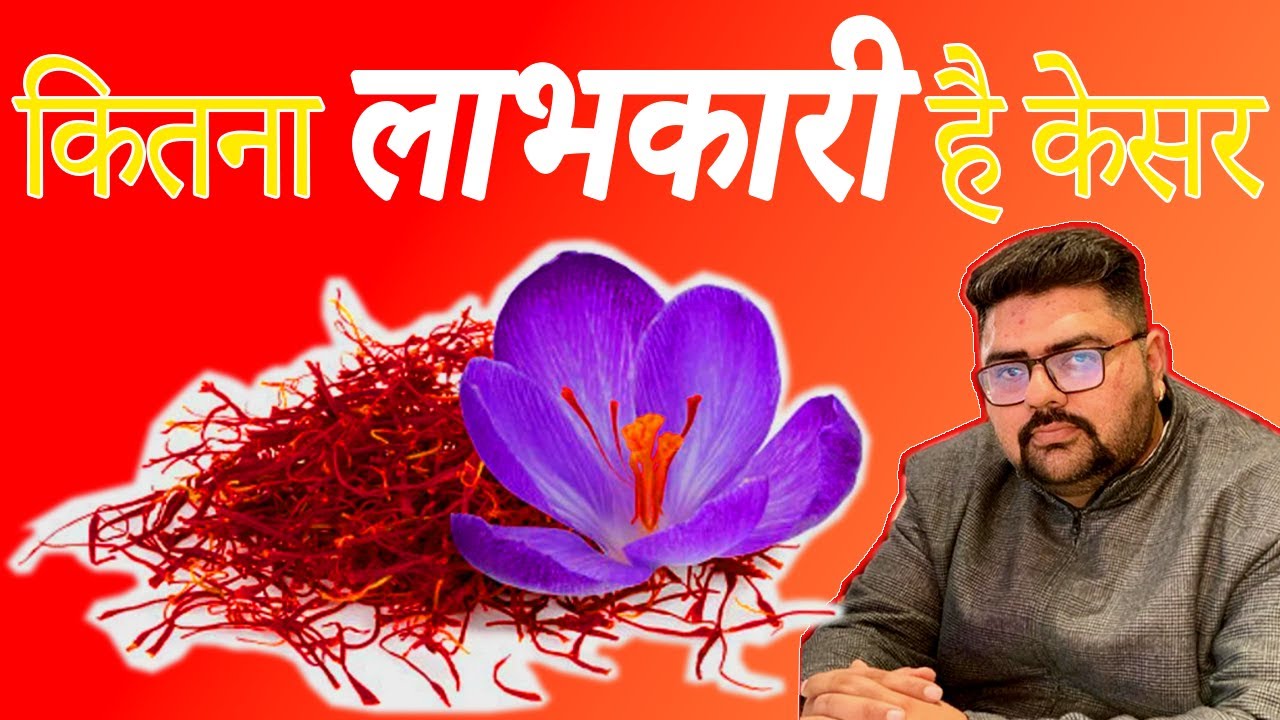 Kesar Ke Fayde: How to get useful effect ok Saffron | कितना लाभकारी है केसर