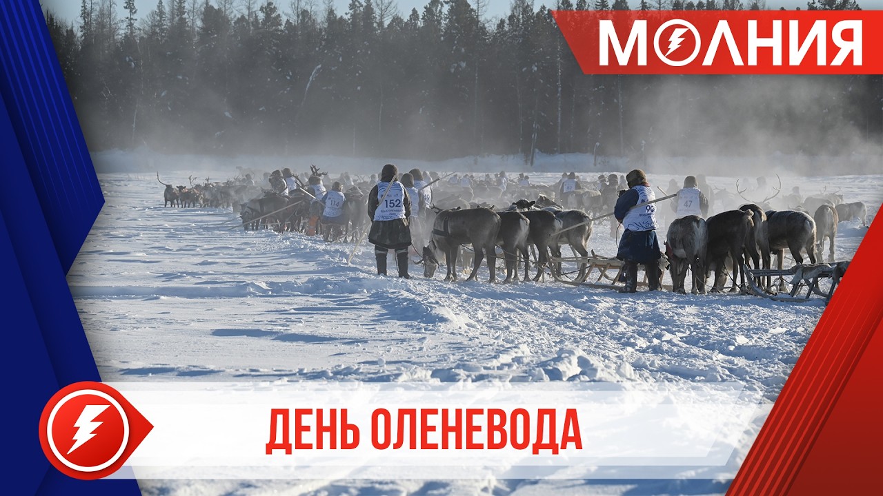 В Тарко-Сале прошли самые массовые на Ямале гонки на оленьих упряжках