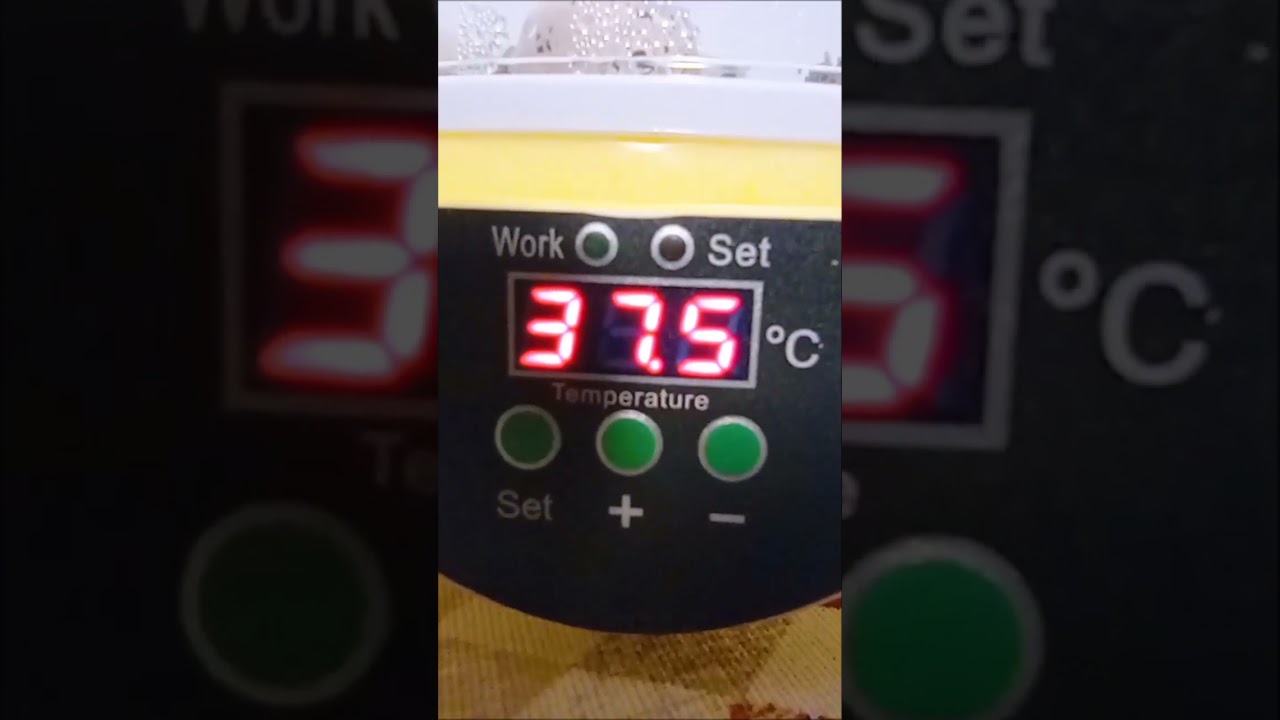 Temperatura de incubaci&oacute;n.