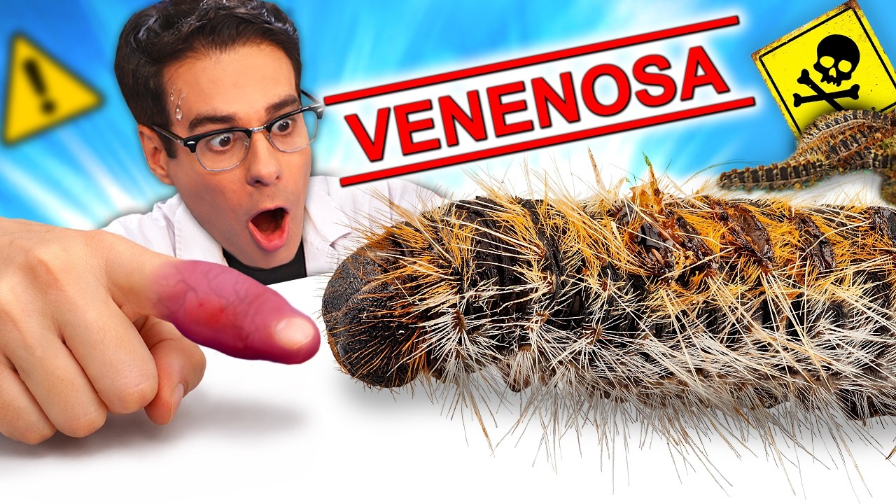Encontr&eacute; NIDO de ORUGAS VENENOSAS y No Creer&aacute;s Lo Que Pas&oacute;