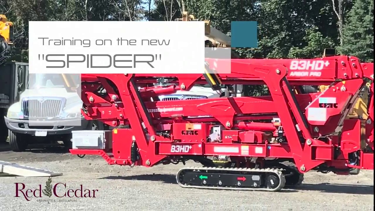 Arbor Pro CMC 83HD 