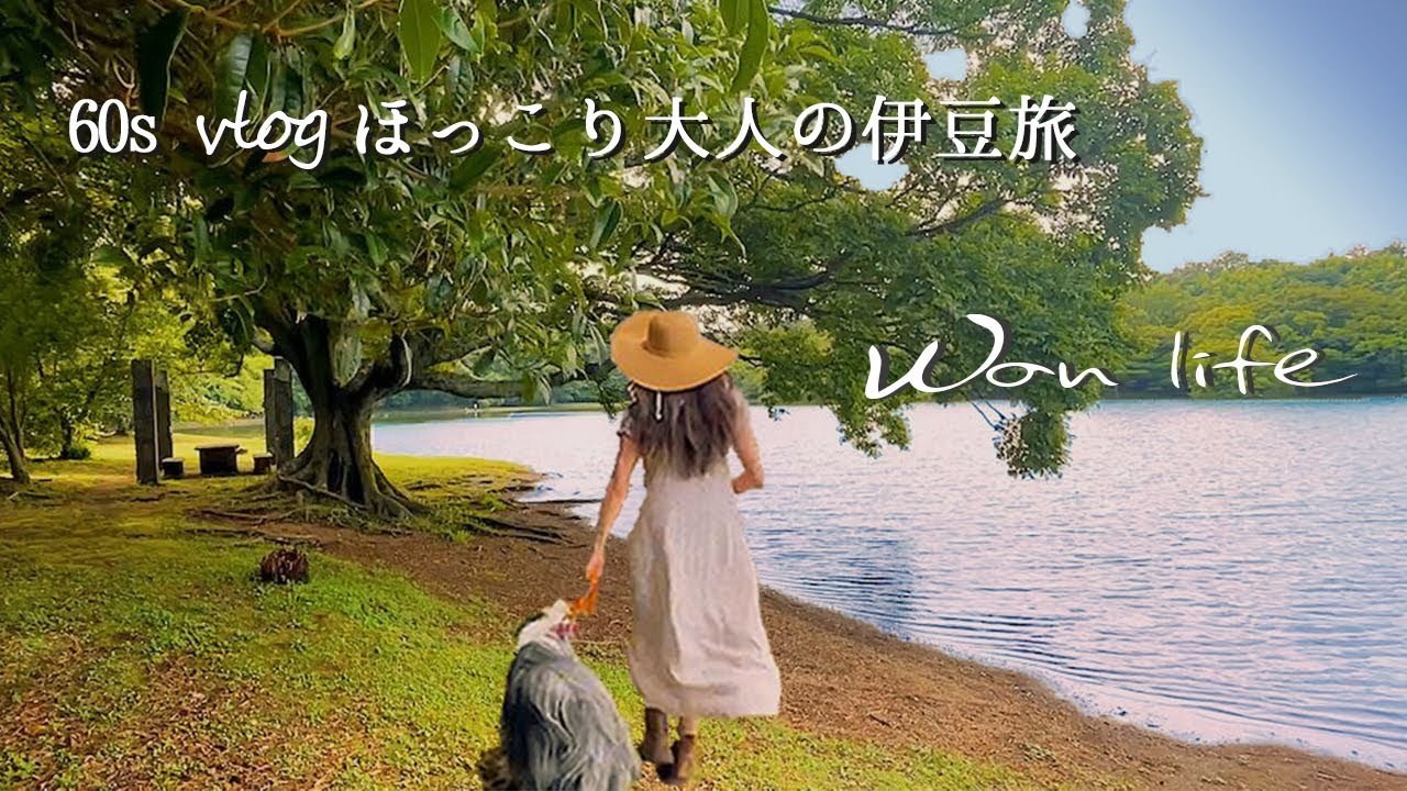 【癒し🌿60代vlog】大人可愛い洋服👗&輸入雑貨屋さん紹介 ｜愛犬と泊まれる宿 マーフィー｜伊豆旅｜絆を繋ぐワンコの手作り鶏むね肉ジャーキー＃90