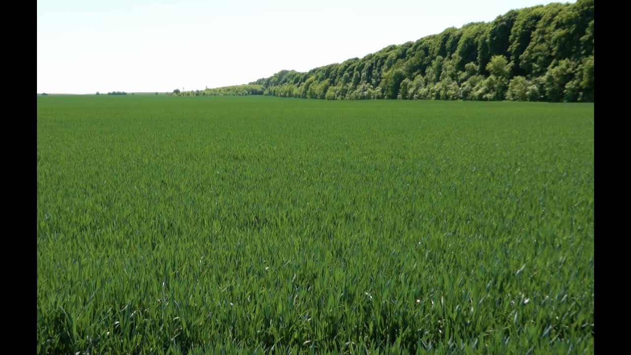 Ukraina. Najżyźniejsza ziemia świata. Prawie 30 mln hektar&oacute;w.